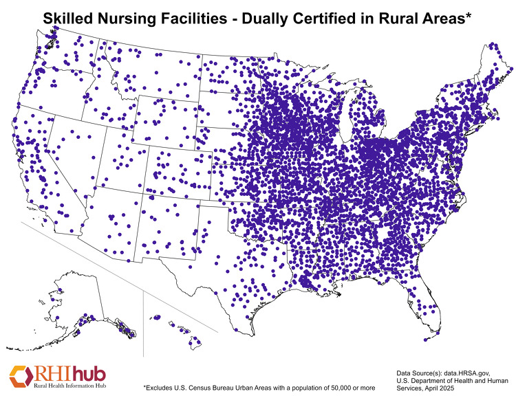 Nonmetro Skilled Nursing Facilities